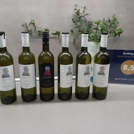 Garni S.o.g.* * * Hotel