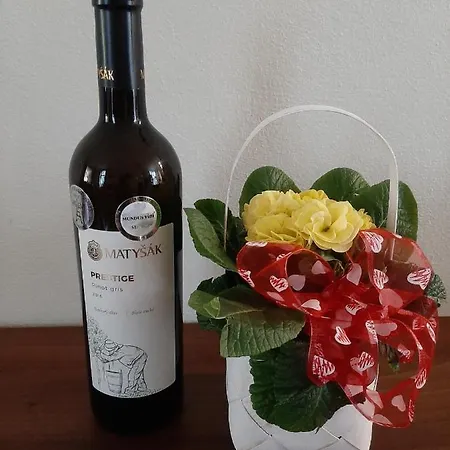 호텔 Garni S.o.g.* * *