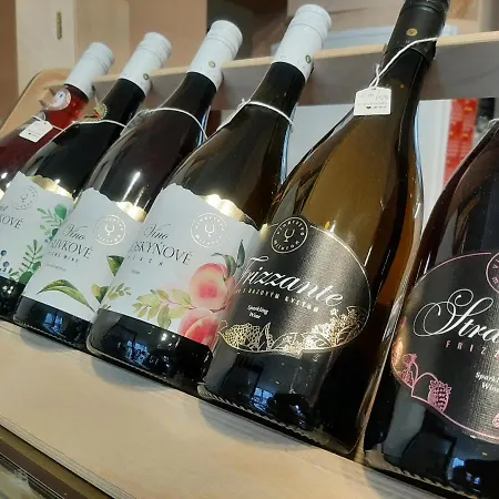 Hotel Garni S.o.g.* * *