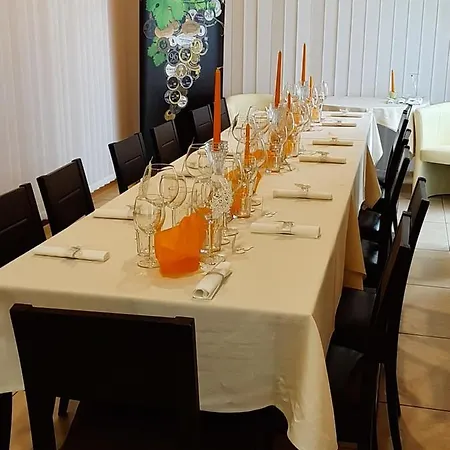 Garni S.o.g.* * * 3* Trenčín