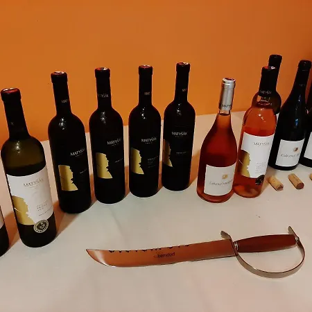 호텔 Garni S.o.g.* * * 3*